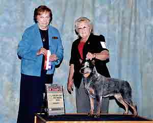 CH Castle Butte Cactus Kate. "Kate"