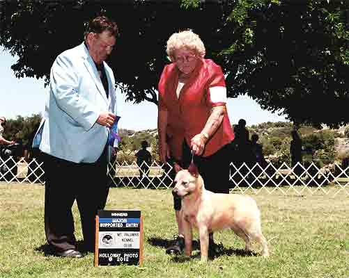 Castle Butte Dusty Rose   "Dusty"