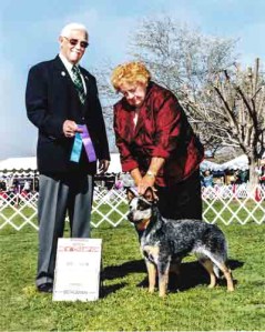 CH Castle Butte Mona Lisa blue Australian Cattle Dog show photo outdoor ring on grass, male huge holding ribbons Marilyn Myers, Handler